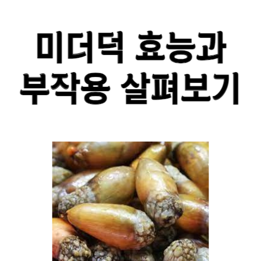 미더덕 효능과 부작용