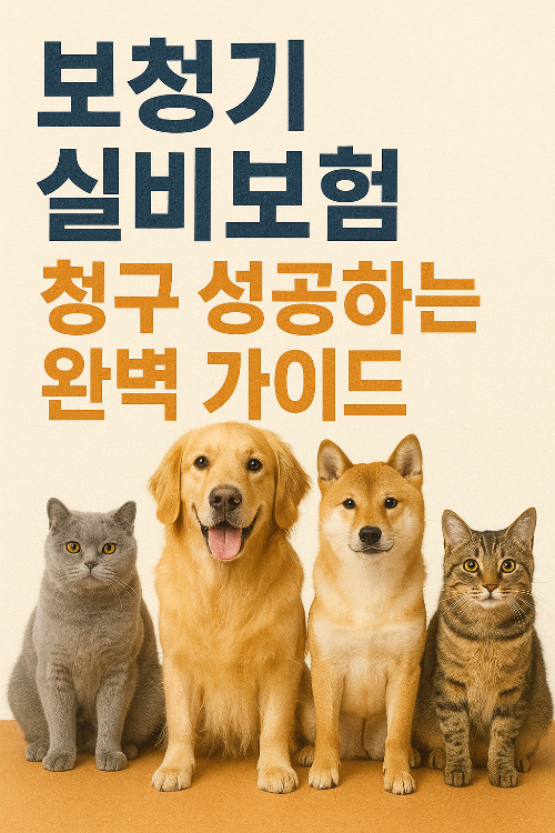 보청기 실비보험 청구 성공하는 완벽 가이드