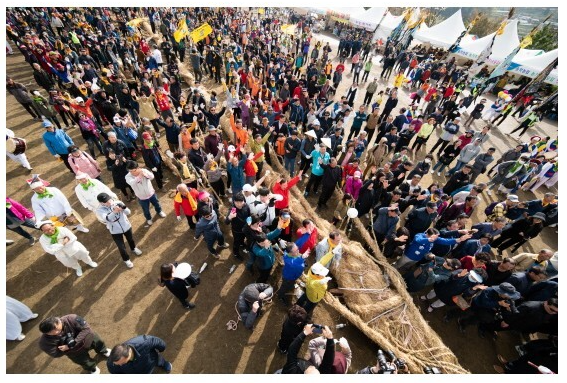 기지시줄다리기박물관 소개 기본정보 체험활동