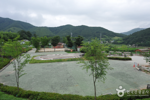 정읍 구절초지방정원