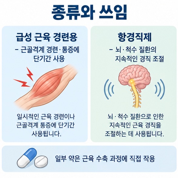 급성 근육 경련용 근육이완제와 신경계 경직 치료용 항경직제의 차이를 정리한 인포그래픽