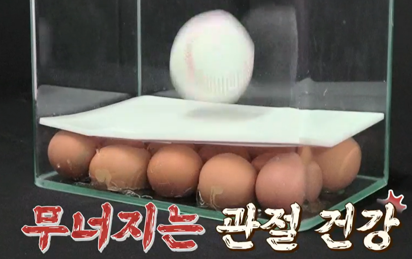 콘드로이친 효능