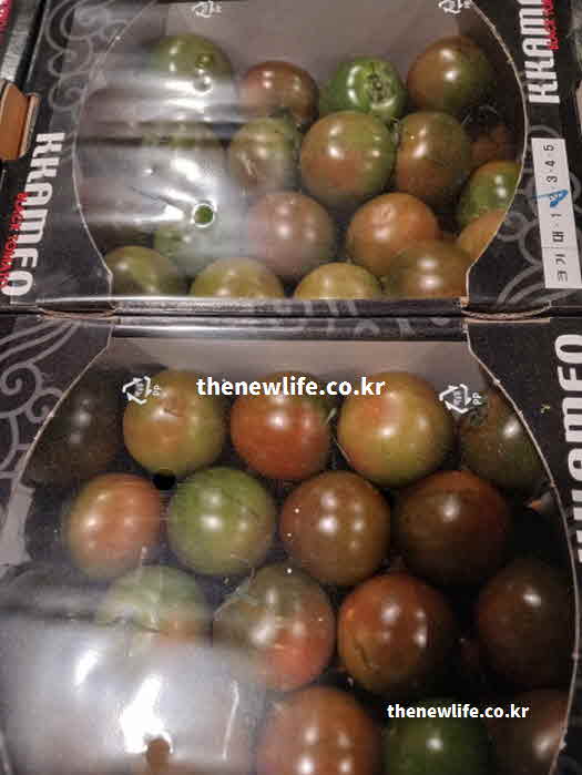 흑토마토 효능 부작용 주의사항 푸른빛