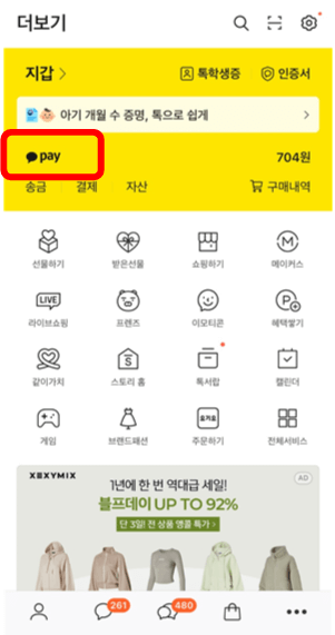 카톡 정부지원금 조회