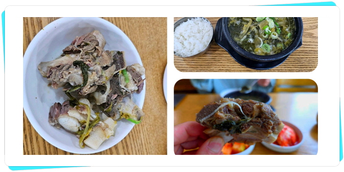 전현무계획2 인천 해장국 81년전통 후기