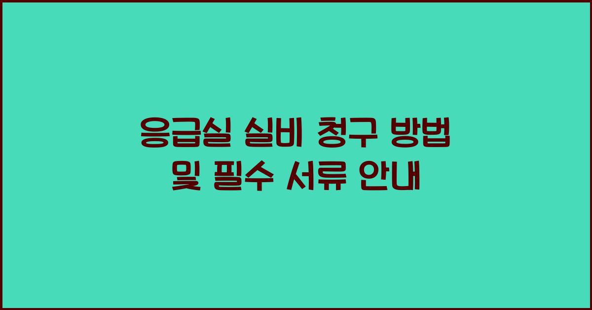 응급실 실비