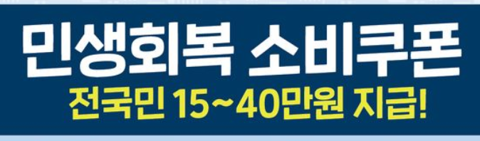 소비쿠폰 수혜주