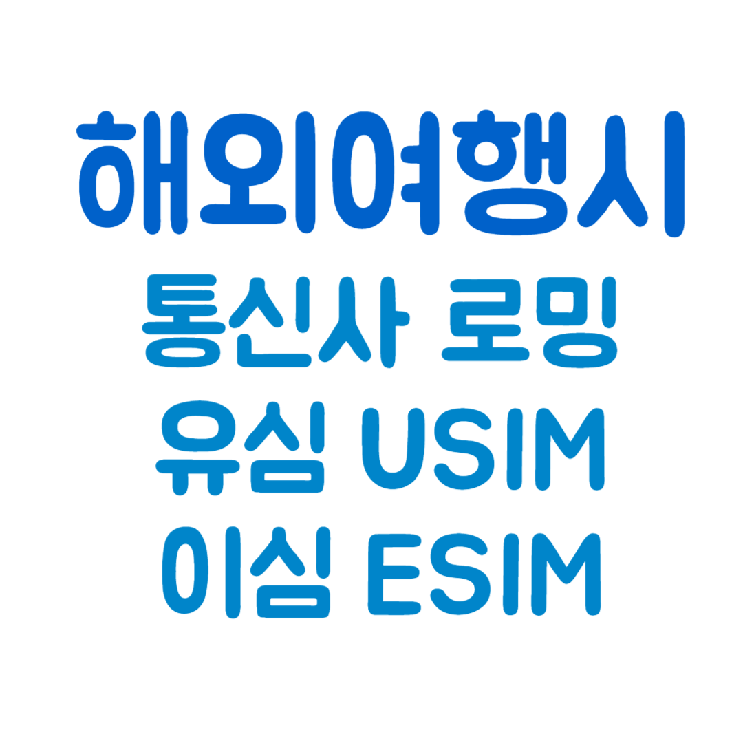 해외여행시
