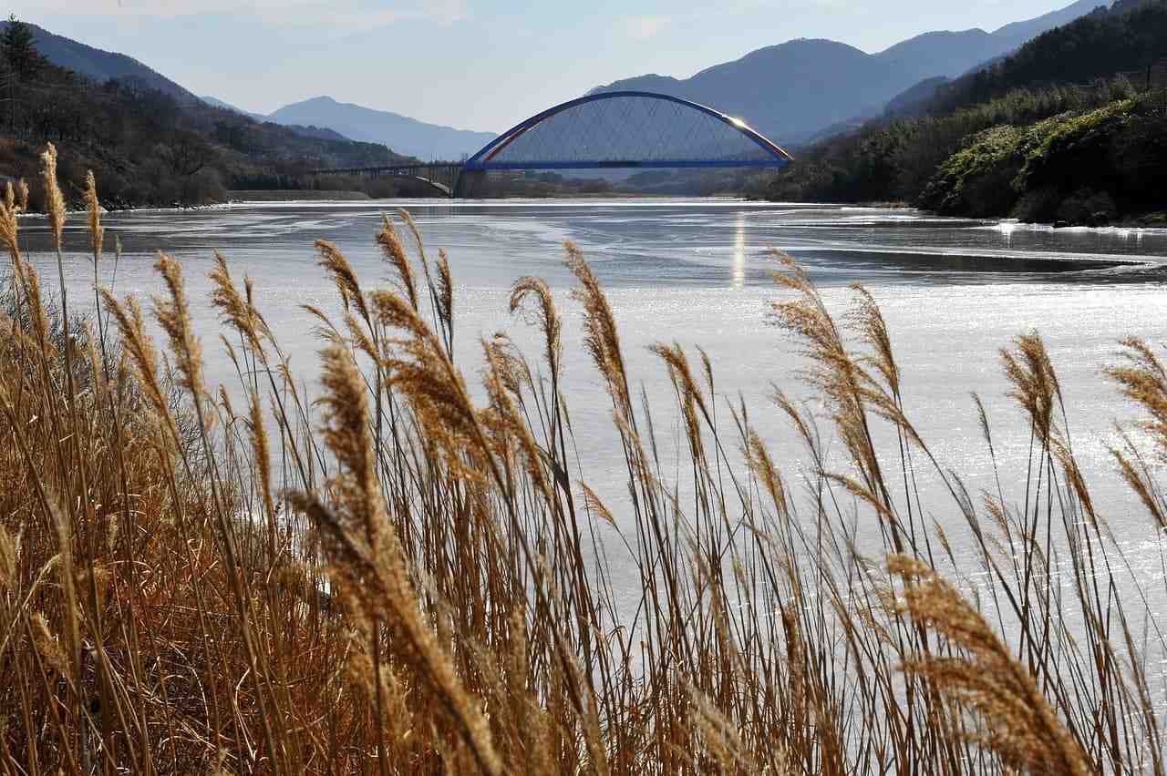 하동 섬진강 단풍 드라이브와 쌍계사 가을 여행