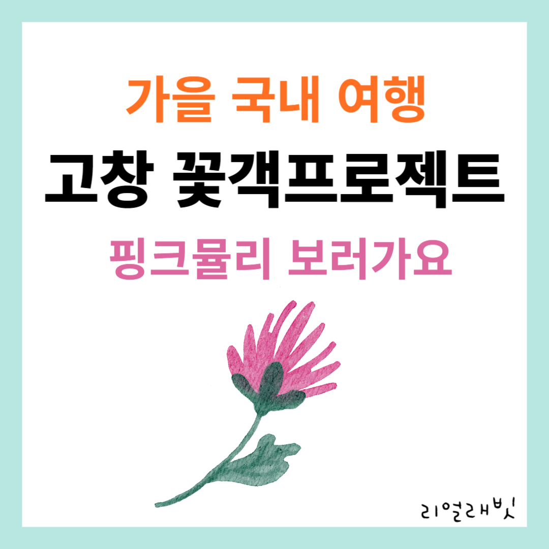 고창꽃객프로젝트-핑크뮬리-축제-썸네일