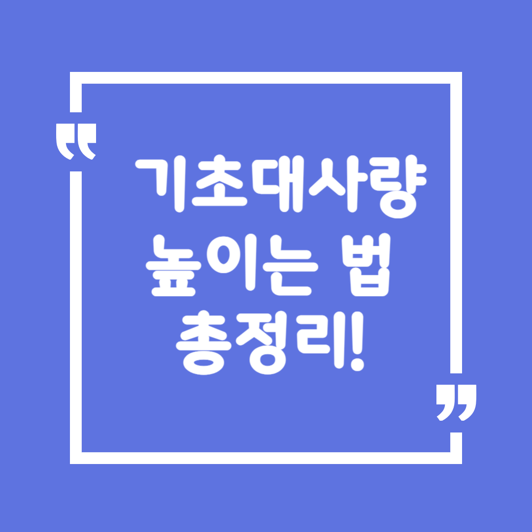 🔥 기초대사량 높이는 법 총정리! 🔥
