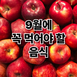 가을에 꼭 먹어야할 음식 추천