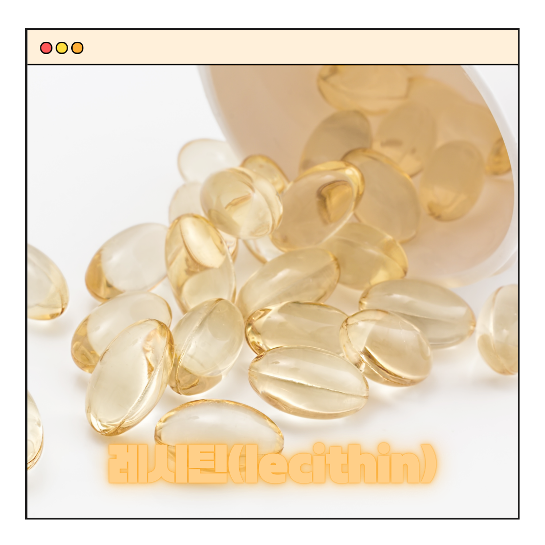 레시틴 효능, 하루섭취량 1200, 복용법 알아보기
