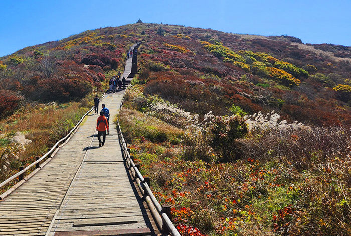 지리산 노고단 탐방로