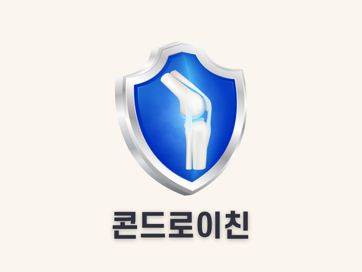 콘드로이친
