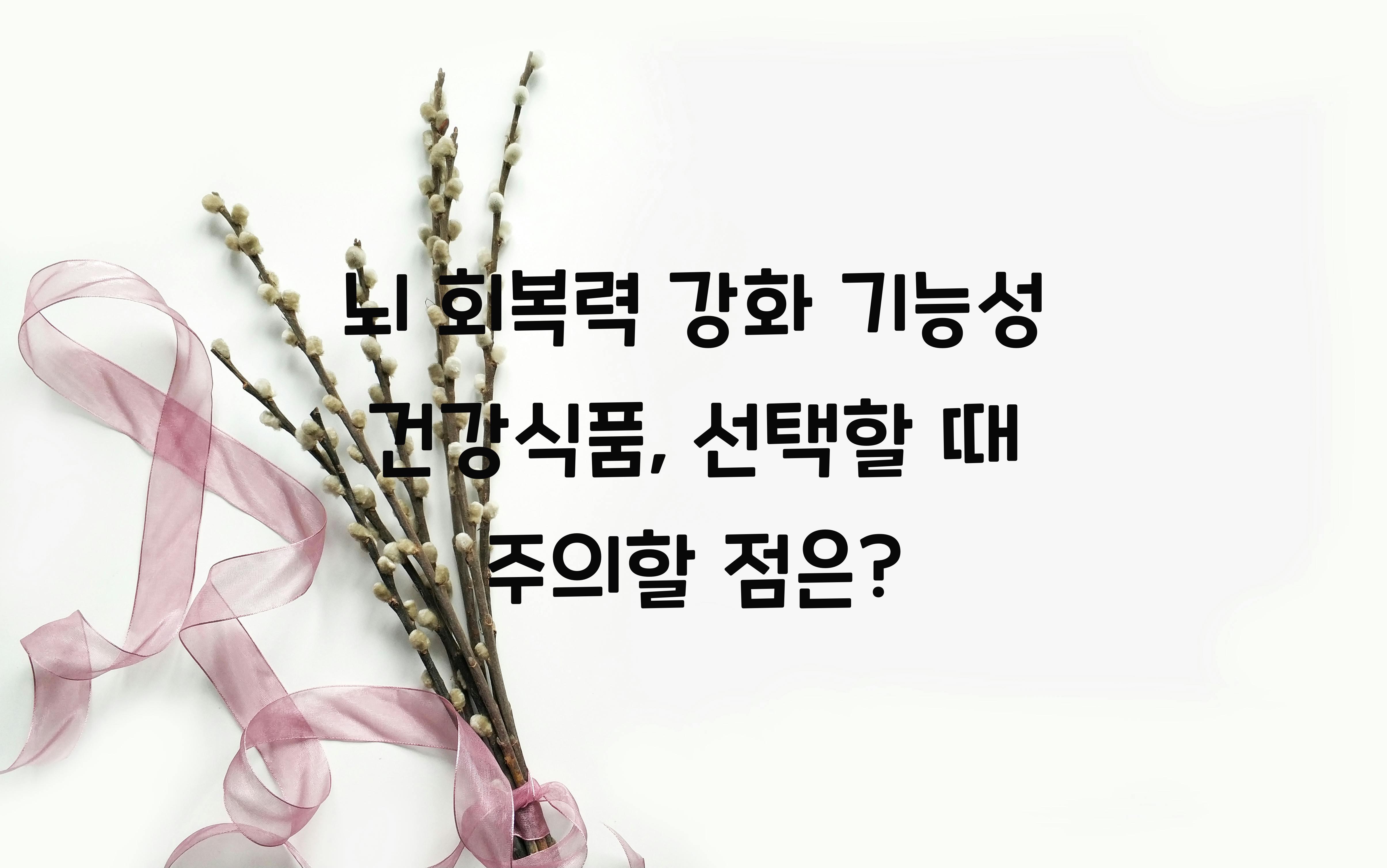 뇌 회복력 강화 기능성 건강식품