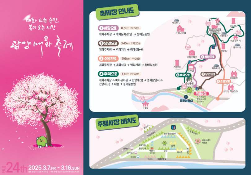 생생정보 택시맛객 광양여행 매화축제 정어리쌈밥 집라인 정보