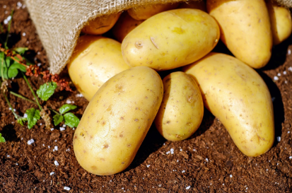 황해도 전통 음식 '감자탕' - 사라진 간식의 귀환