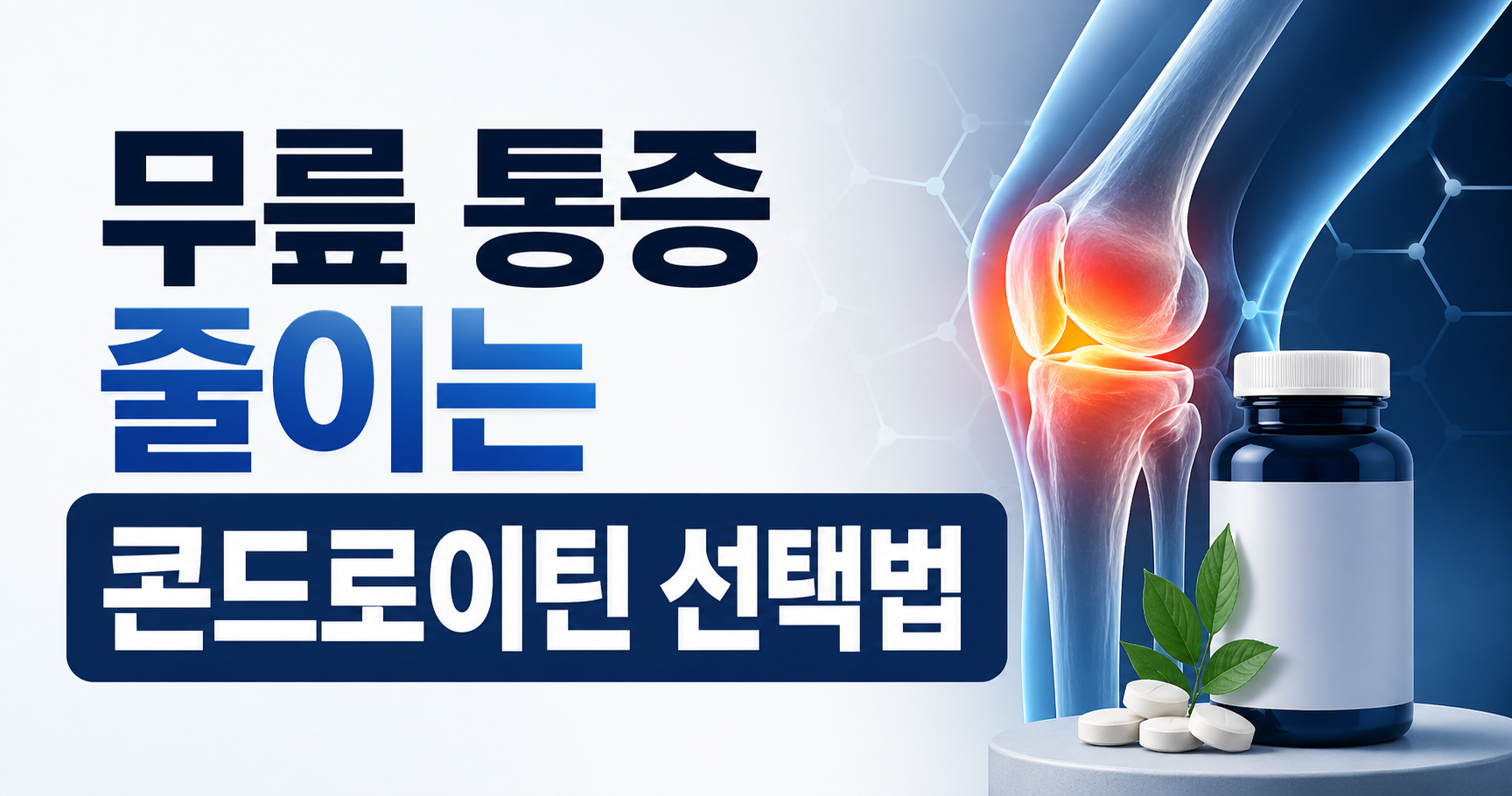콘드로이틴 추천