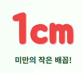 수박 고르는 방법