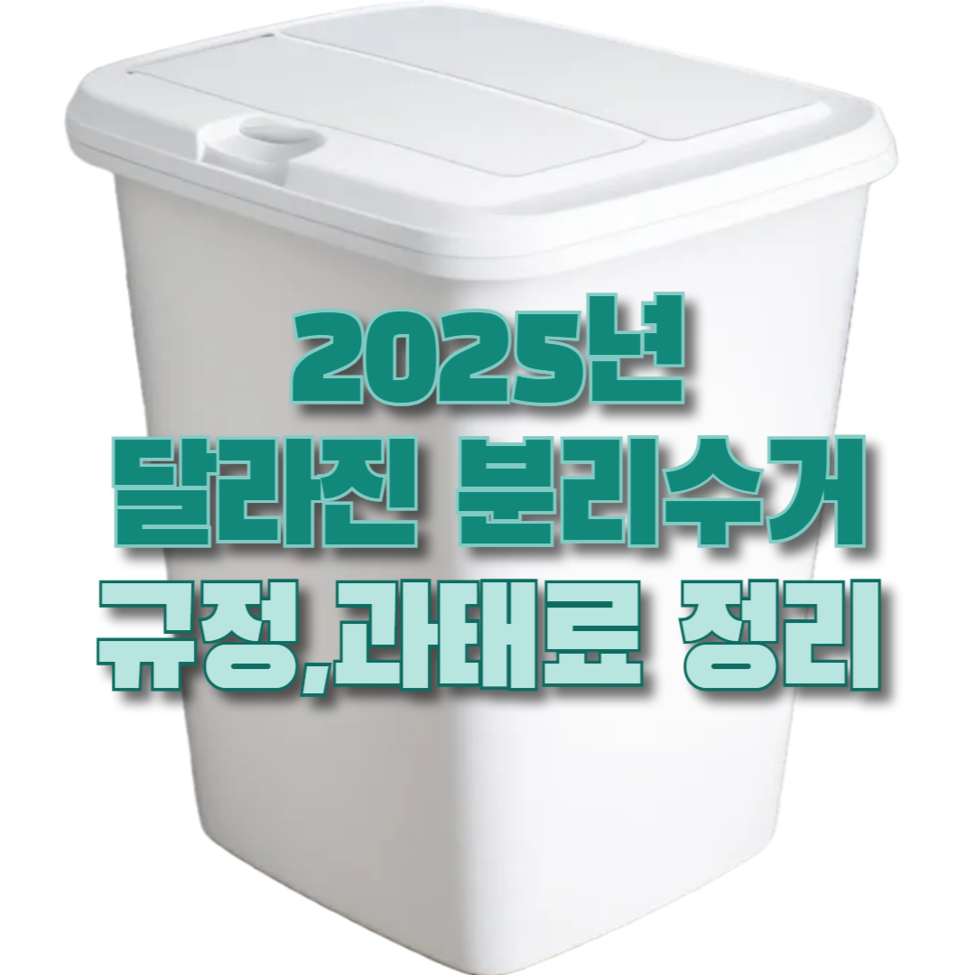 2025년 4월 최신 분리수거 규정과 과태료 정리