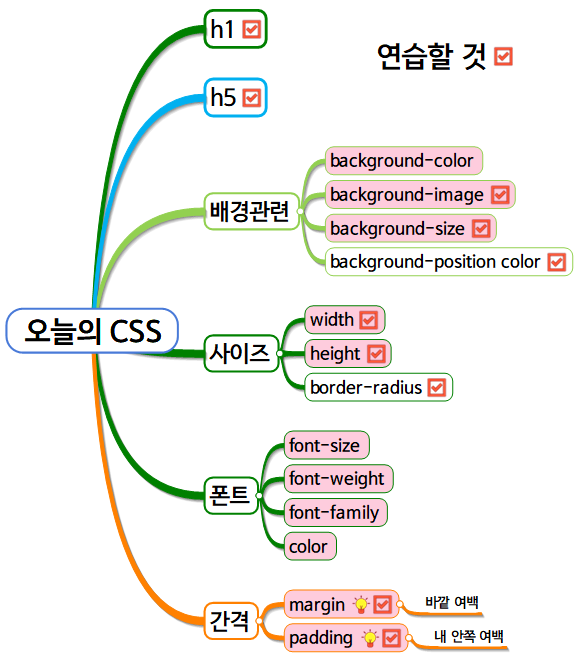 오늘 연습해야할 기본 CSS들