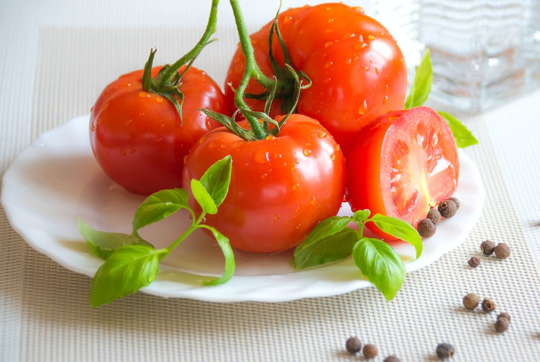 모기 퇴치에 좋은 토마토