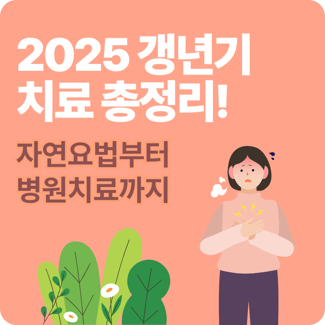 갱년기 치료 총정리