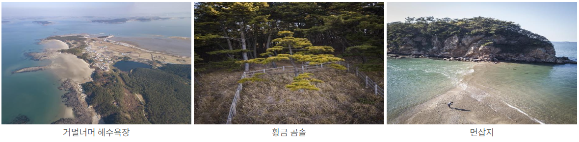 삽사도의 볼거리