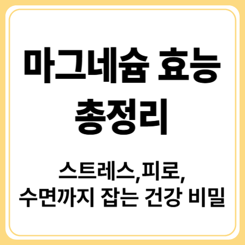 마그네슘 효능 총정리
