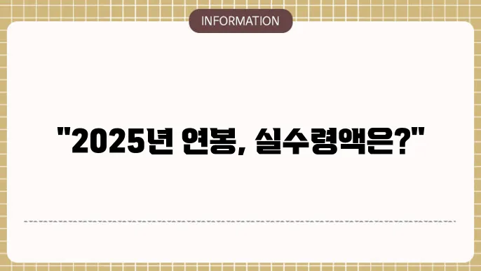 2025년도 연봉실수령액표 세전 3000 5000 8000만원 세후 월급은