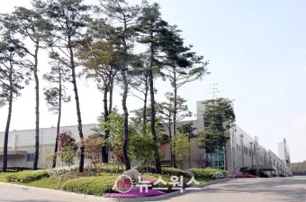횡성 가볼만한곳 베스트10 여행 놀거리 맛집_16