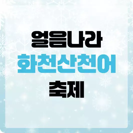 얼음나라 화천 산천어 축제