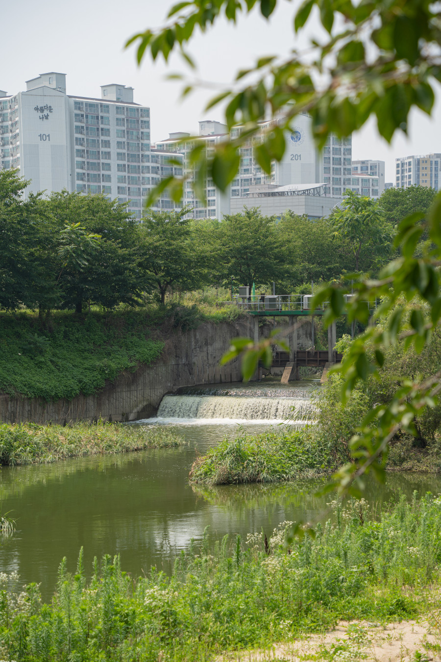 고색 뉴지엄 황구지천