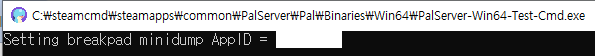 PalServer 실행