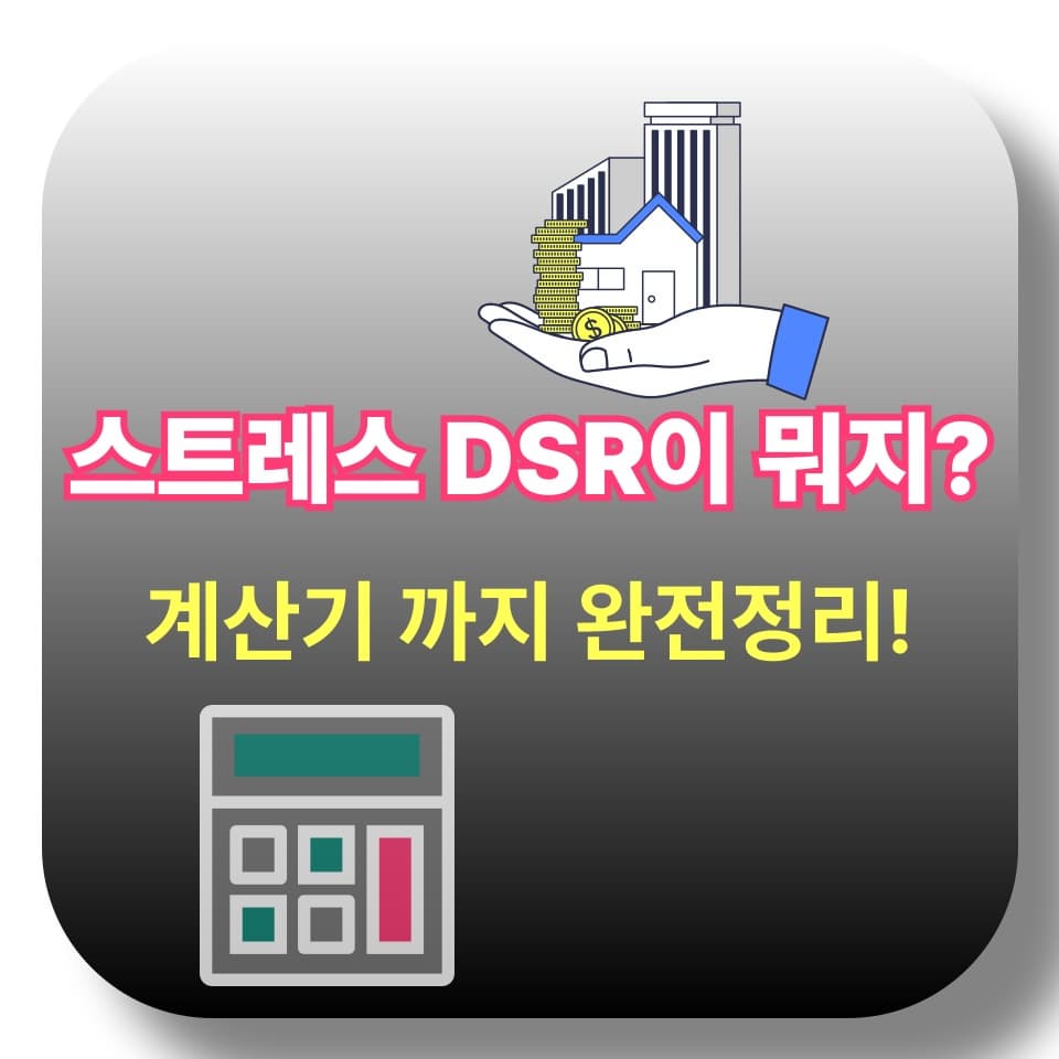 스트레스 DSR이 뭐지? 이 글 하나로 완전 정리!