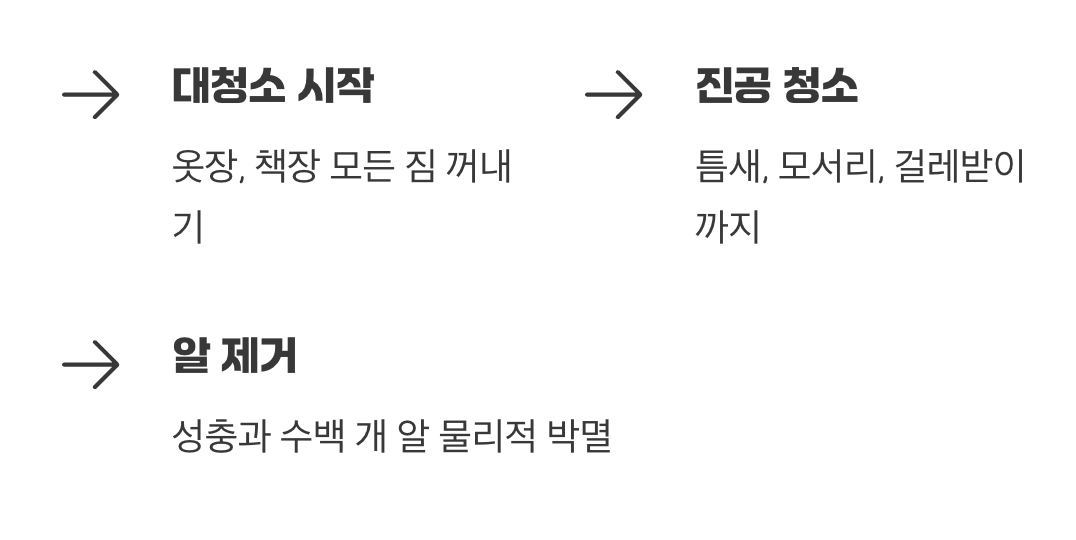 숨겨진 알까지 박멸하는 대청소