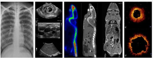 아이빔테크놀로지
