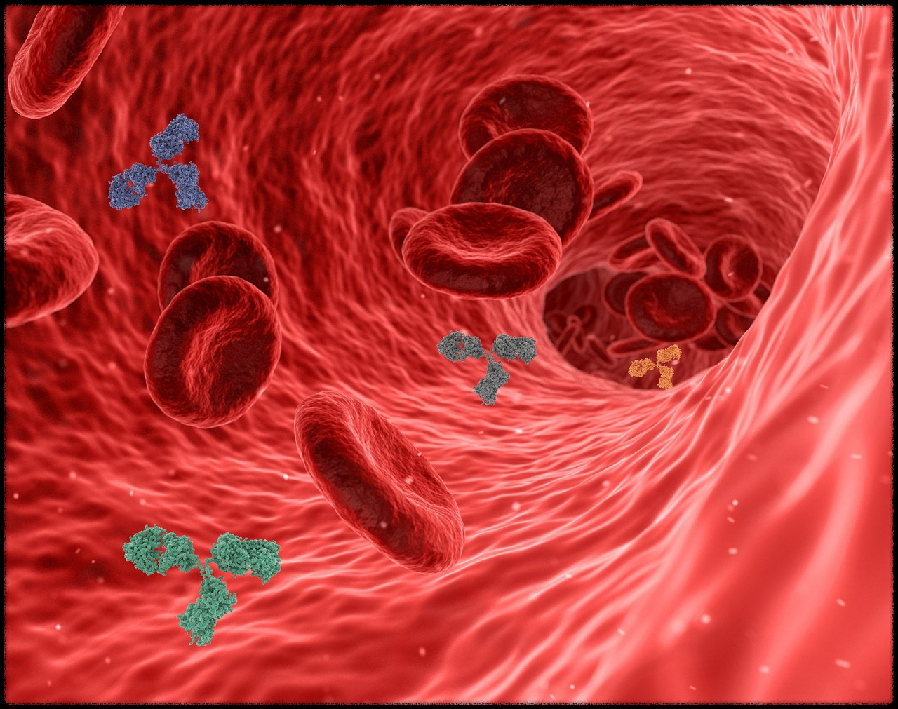 오트밀 효능_이미지17