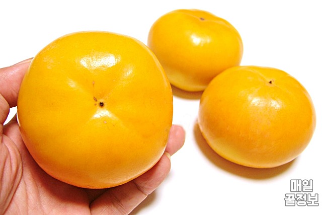 감 자르는법,감 씨빼기,팁줌