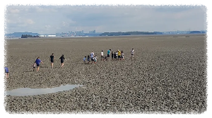 농촌 체험도 요즘은 스타일리시하게 즐겨야죠. 강화도자연체험농장