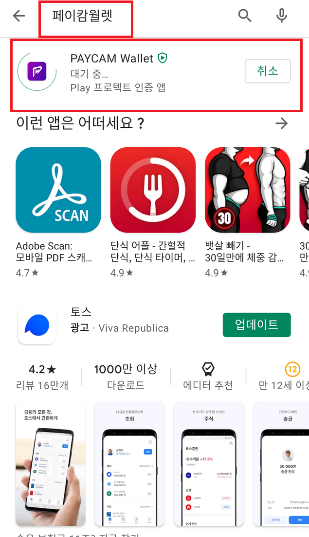 페이캄 코인