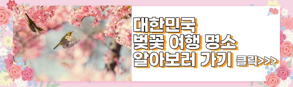 벚꽃명소