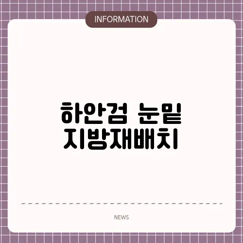 하안검 눈밑 지방재배치