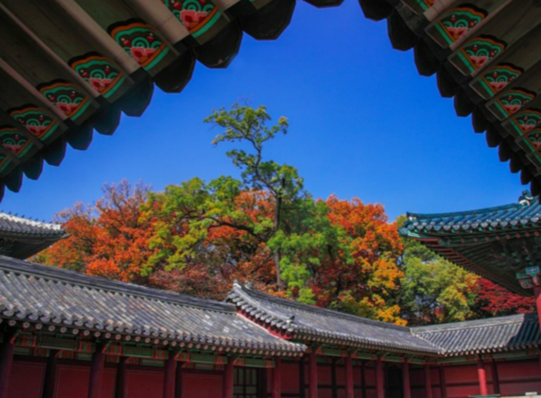 창덕궁 후원 예약