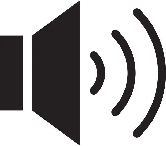 귀에서 삐소리가 나는 이유