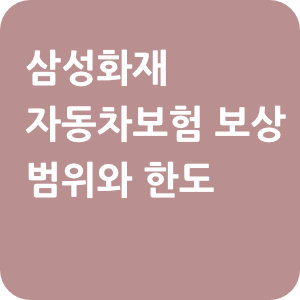 삼성화재-자동차보험-보상범위-한도