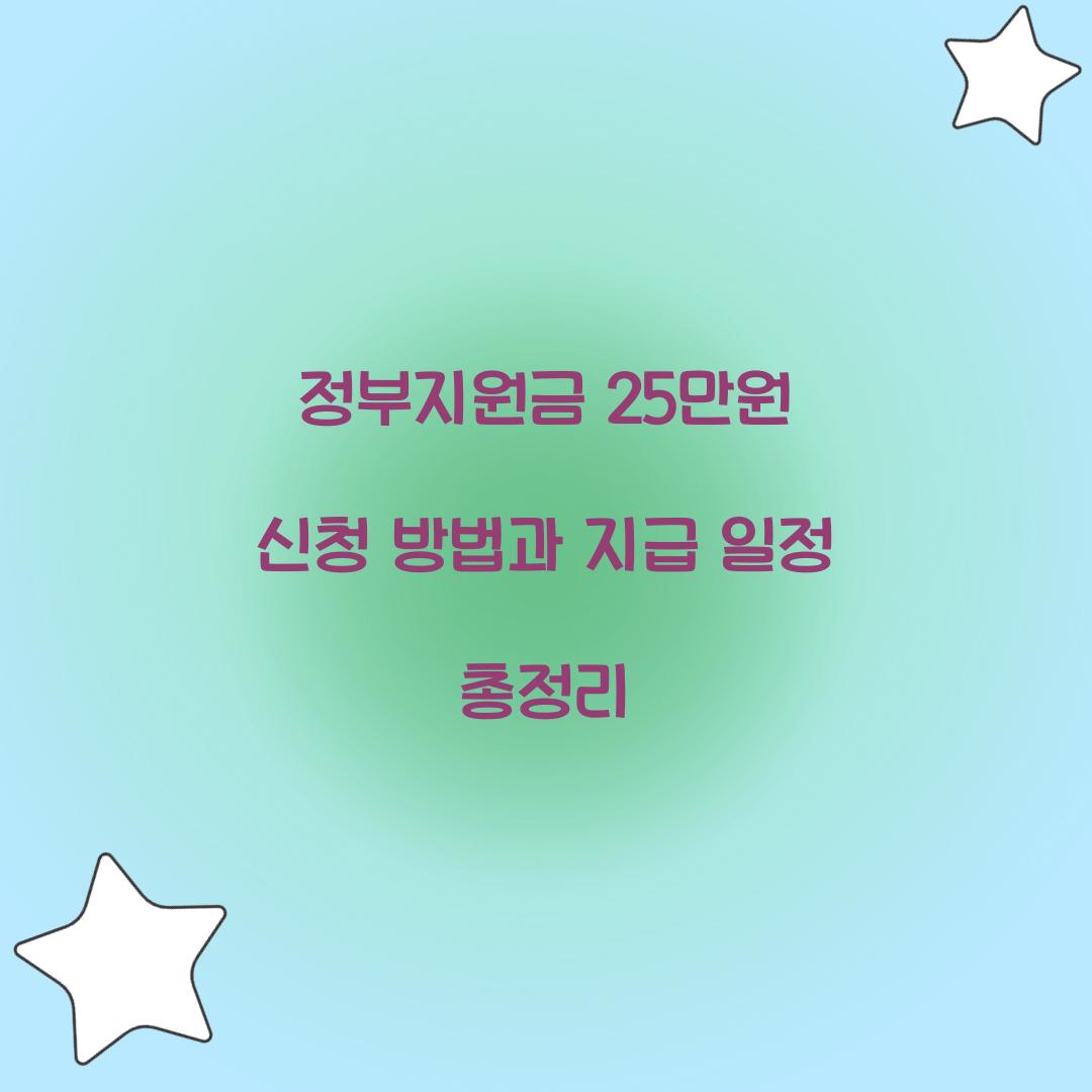 정부지원금 25만원