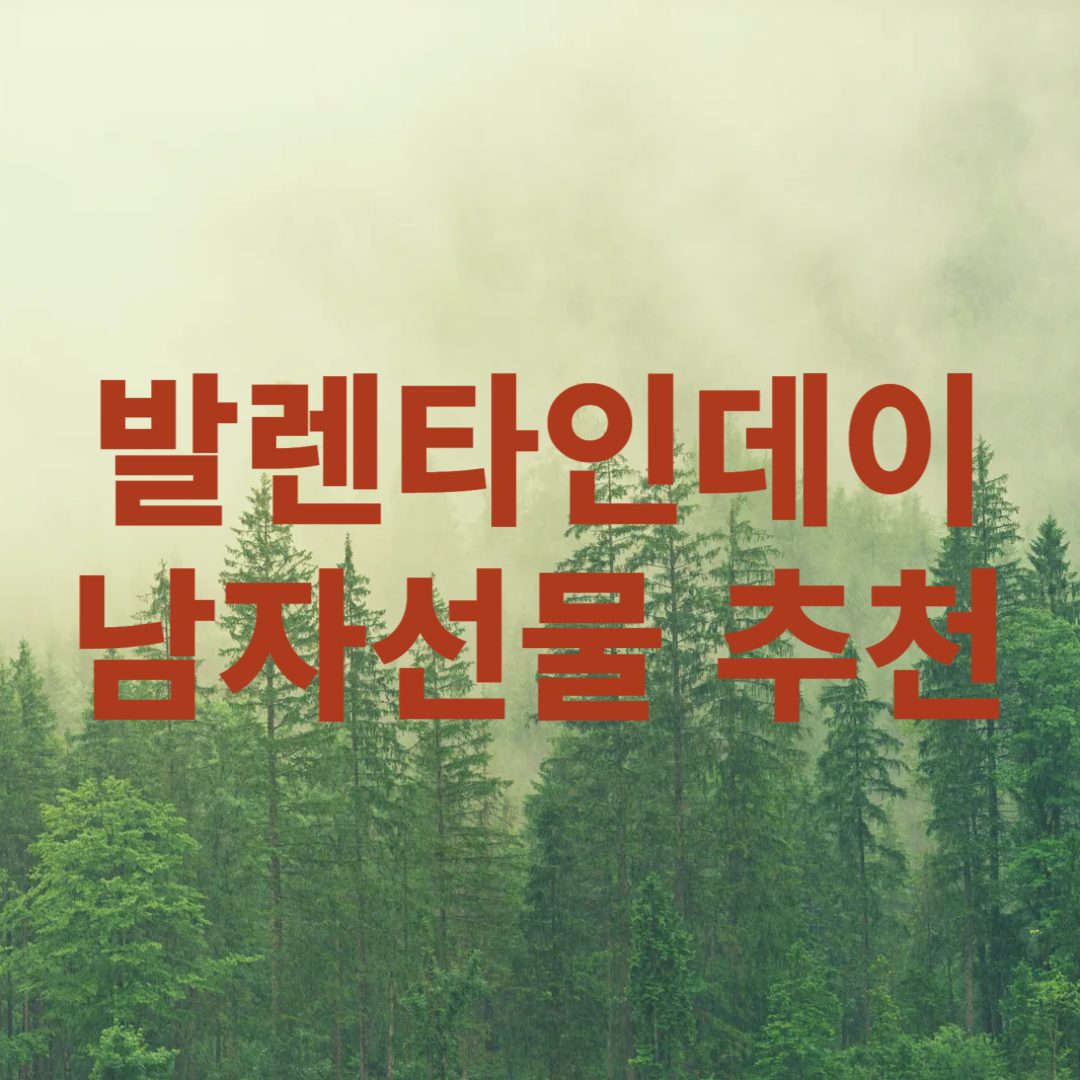 발렌타인데이 남자선물 추천
