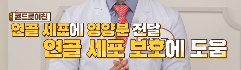 콘드로이친 효능